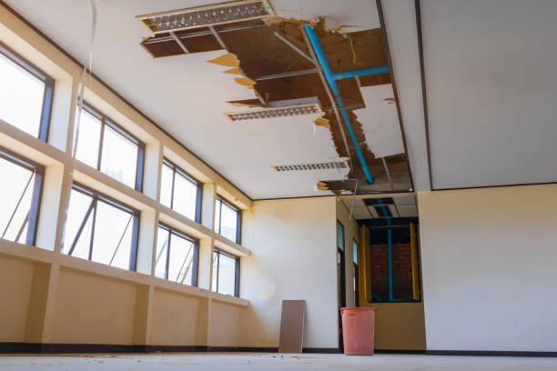 Best 24-hour water damage restoration  in Prairie Grove, AR