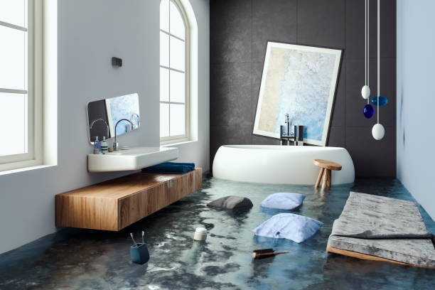 Best Mold removal after water damage  in Prairie Grove, AR