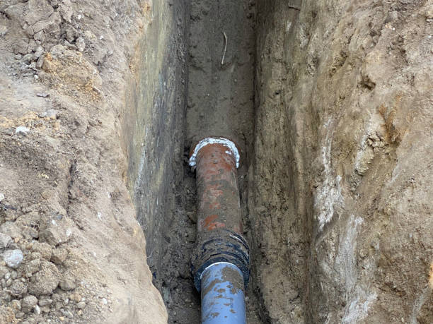 Best Basement water damage restoration  in Prairie Grove, AR