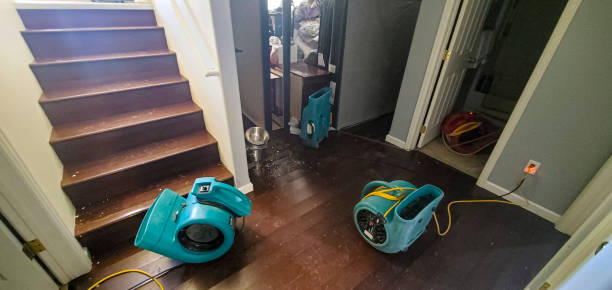 Best 24/7 water damage repair  in Prairie Grove, AR