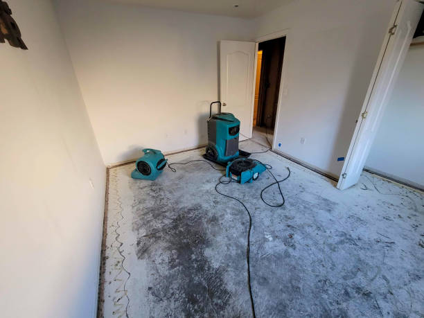 Best Fire Damage Restoration  in Prairie Grove, AR