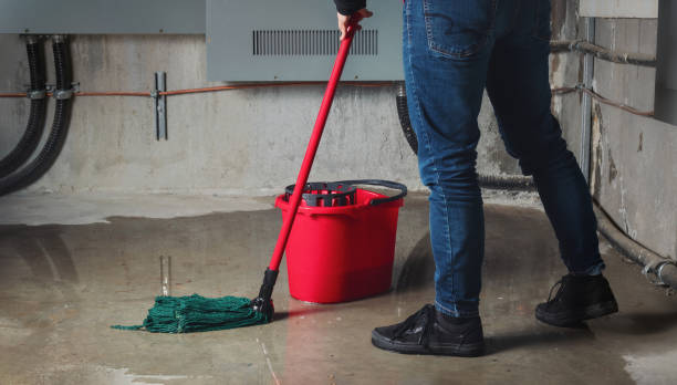 Best Water damage contractors near me  in Prairie Grove, AR