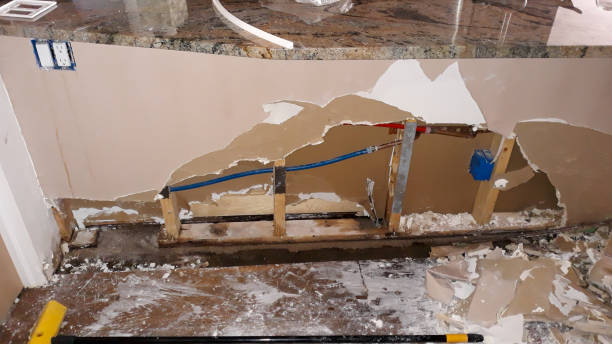 Best Flood damage cleanup  in Prairie Grove, AR