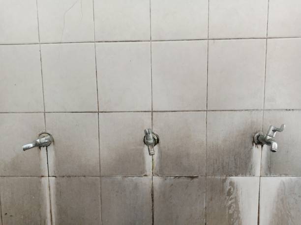 Best Commercial water damage restoration  in Prairie Grove, AR