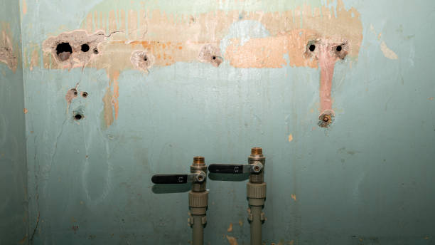 Best Water damage cleanup near me  in Prairie Grove, AR
