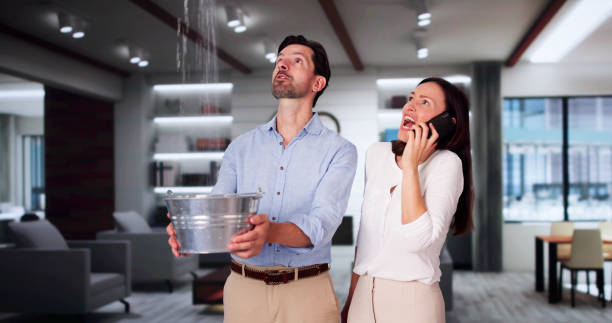 Best Water damage restoration near me  in Prairie Grove, AR